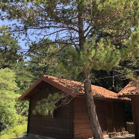 The Old Man'S Chalet Villa Dukat Екстериор снимка